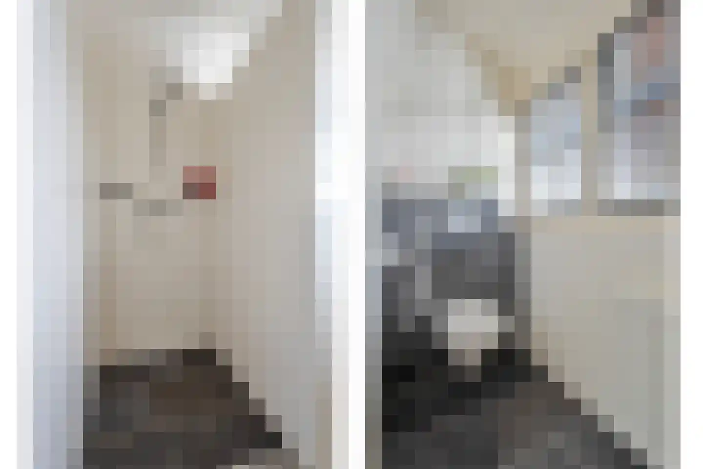 Molenhof 1 Lattrop-Breklenkamp thumbnail 26