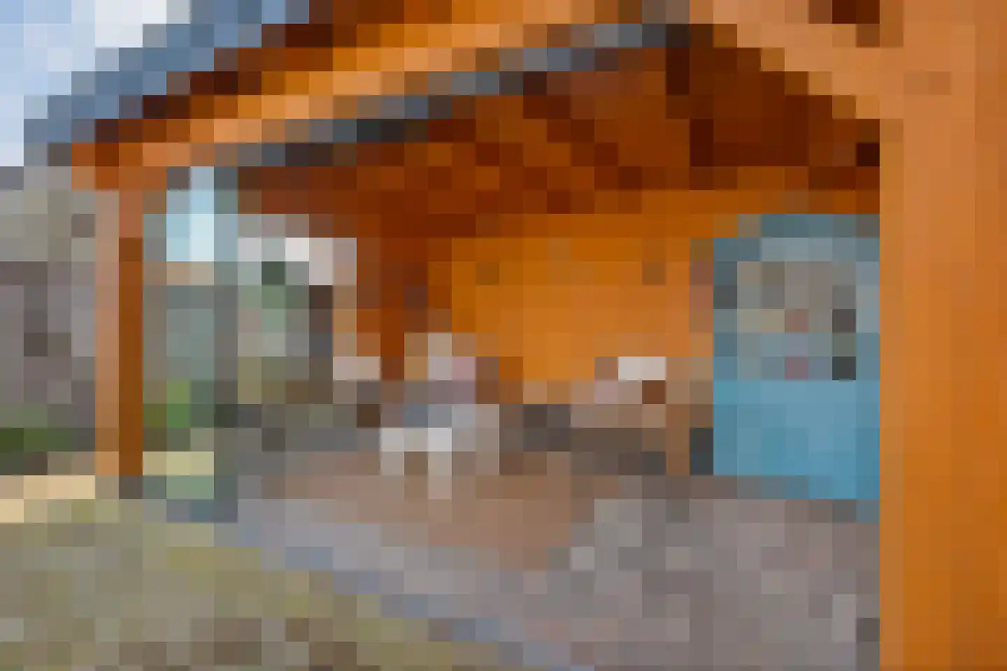 Molenhof 1 Lattrop-Breklenkamp thumbnail 31