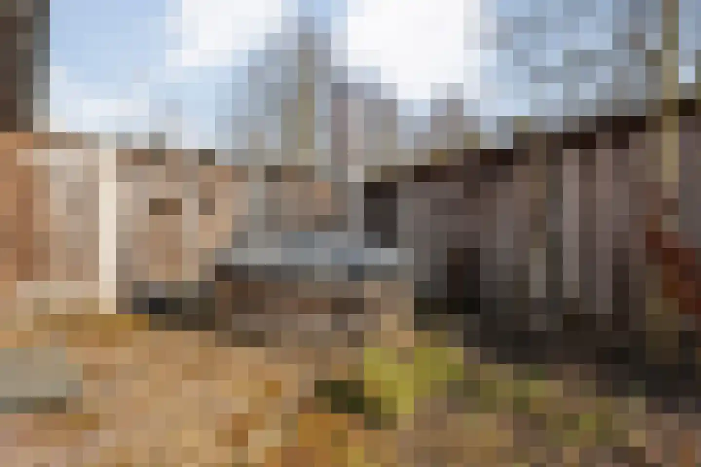 Molenhof 1 Lattrop-Breklenkamp thumbnail 32