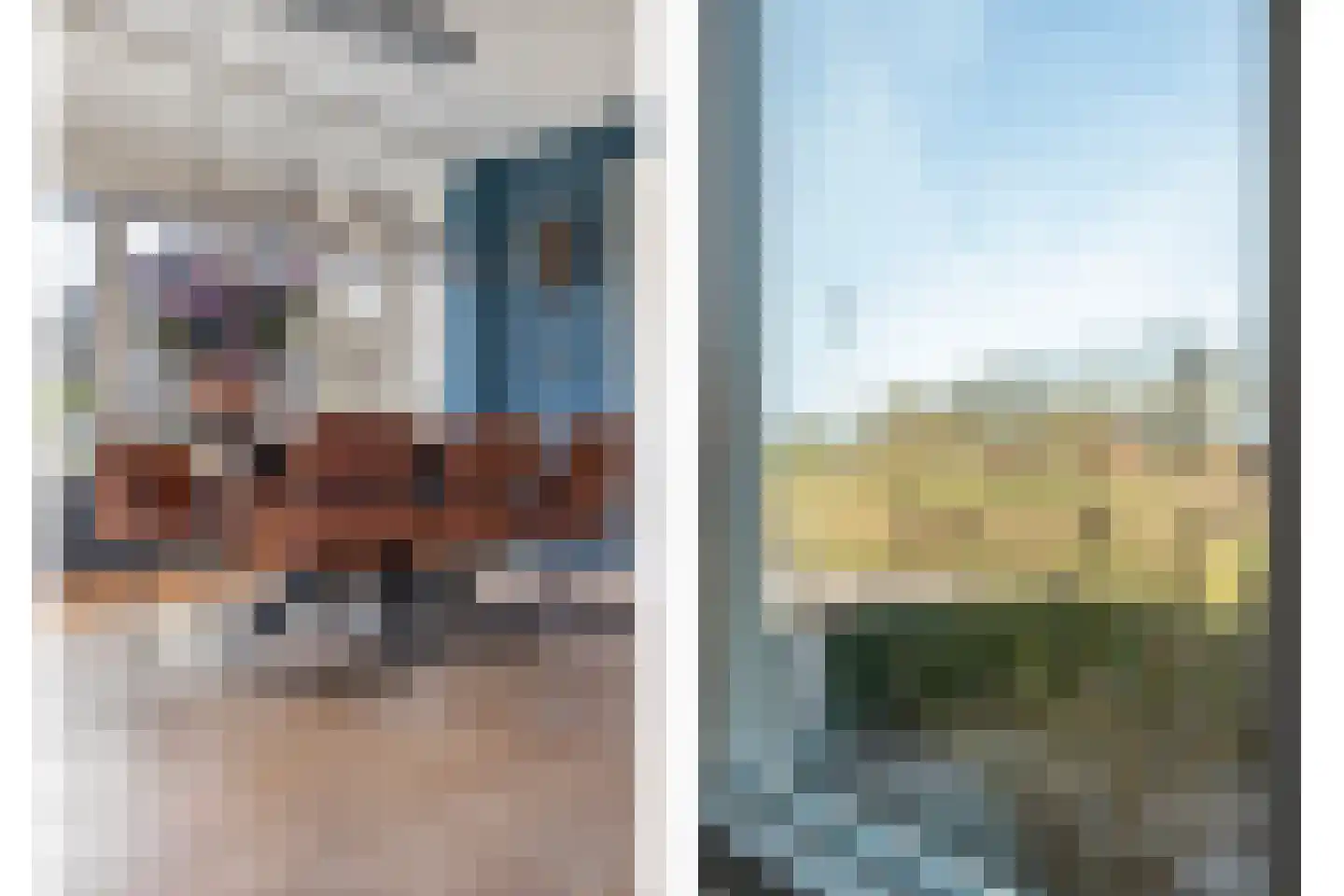 Molenhof 1 Lattrop-Breklenkamp thumbnail 7
