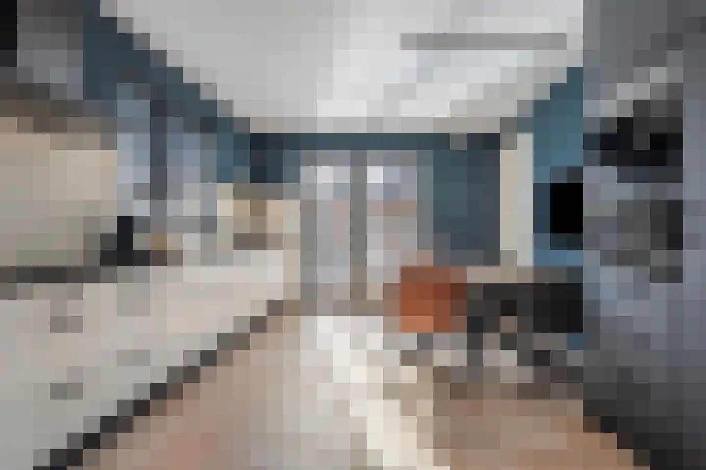 Molenhof 1 Lattrop-Breklenkamp thumbnail 9