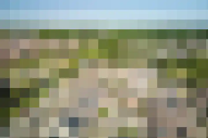 Molenhof 100 Avenhorn thumbnail 5