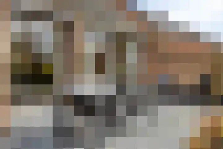 Molenhof 13 Budel thumbnail 27
