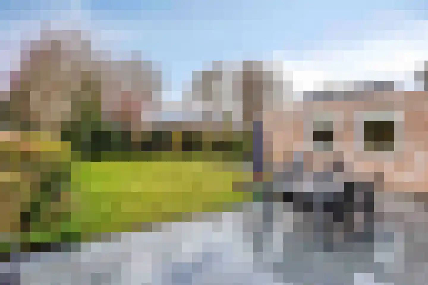 Molenhof 13 Budel thumbnail 28