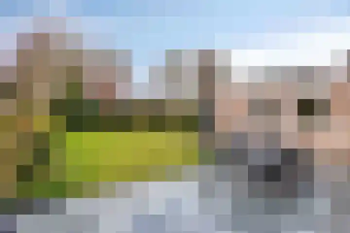 Molenhof 13 Budel thumbnail 28