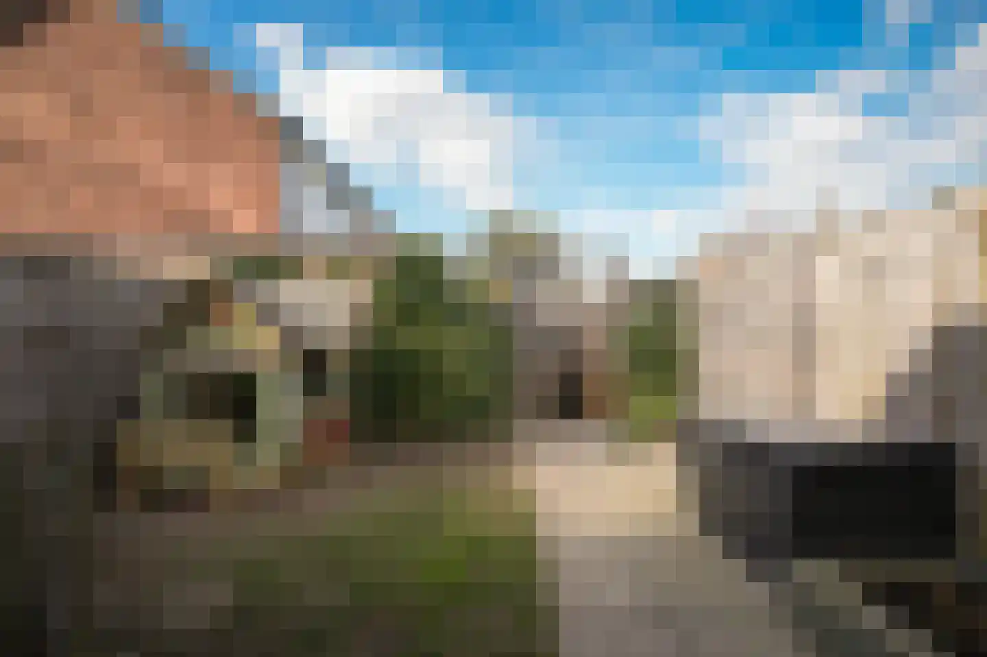 Molenhof 13 Wijk en Aalburg thumbnail 29