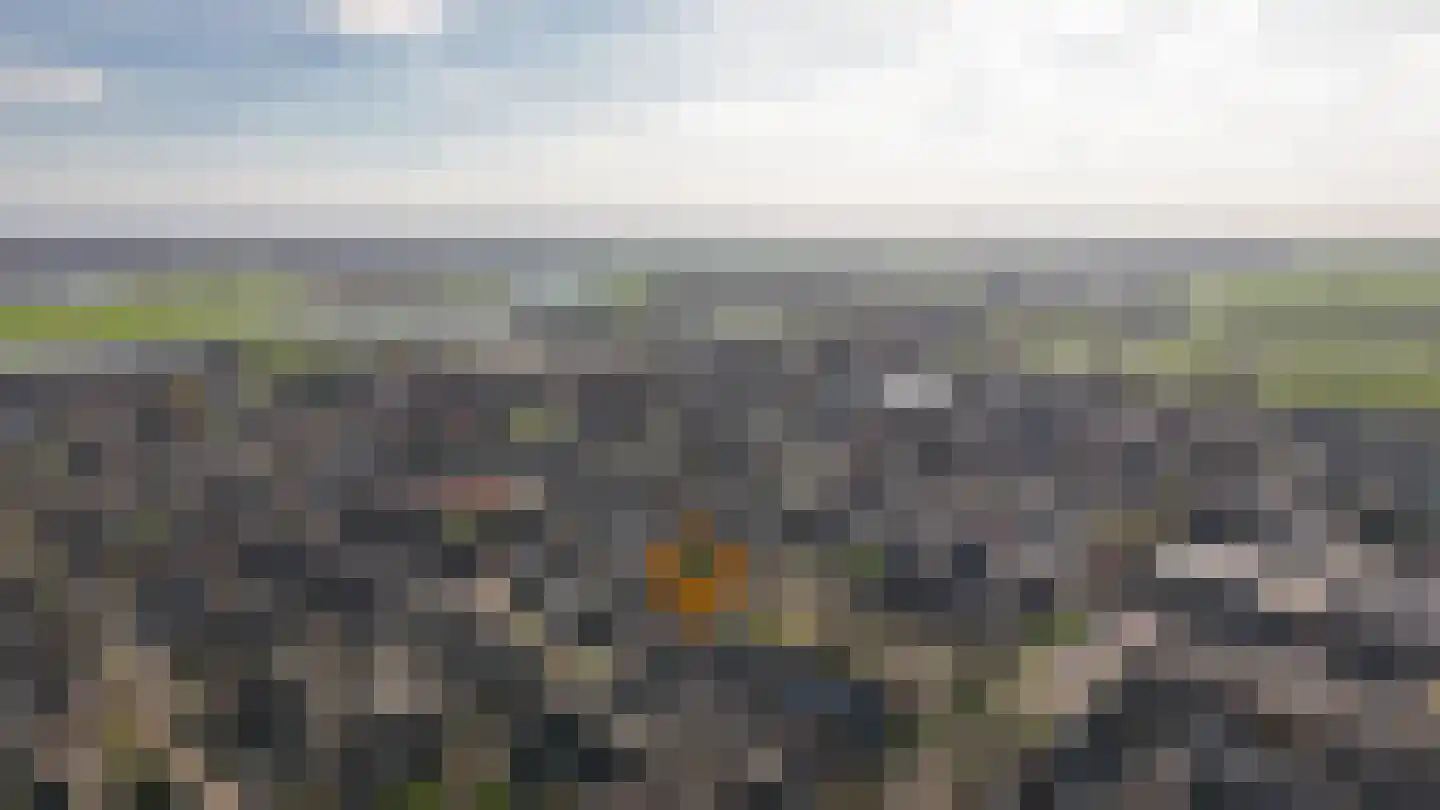 Molenhof 13 Wijk en Aalburg thumbnail 37
