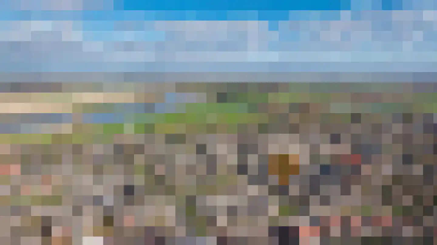 Molenhof 13 Wijk en Aalburg thumbnail 38