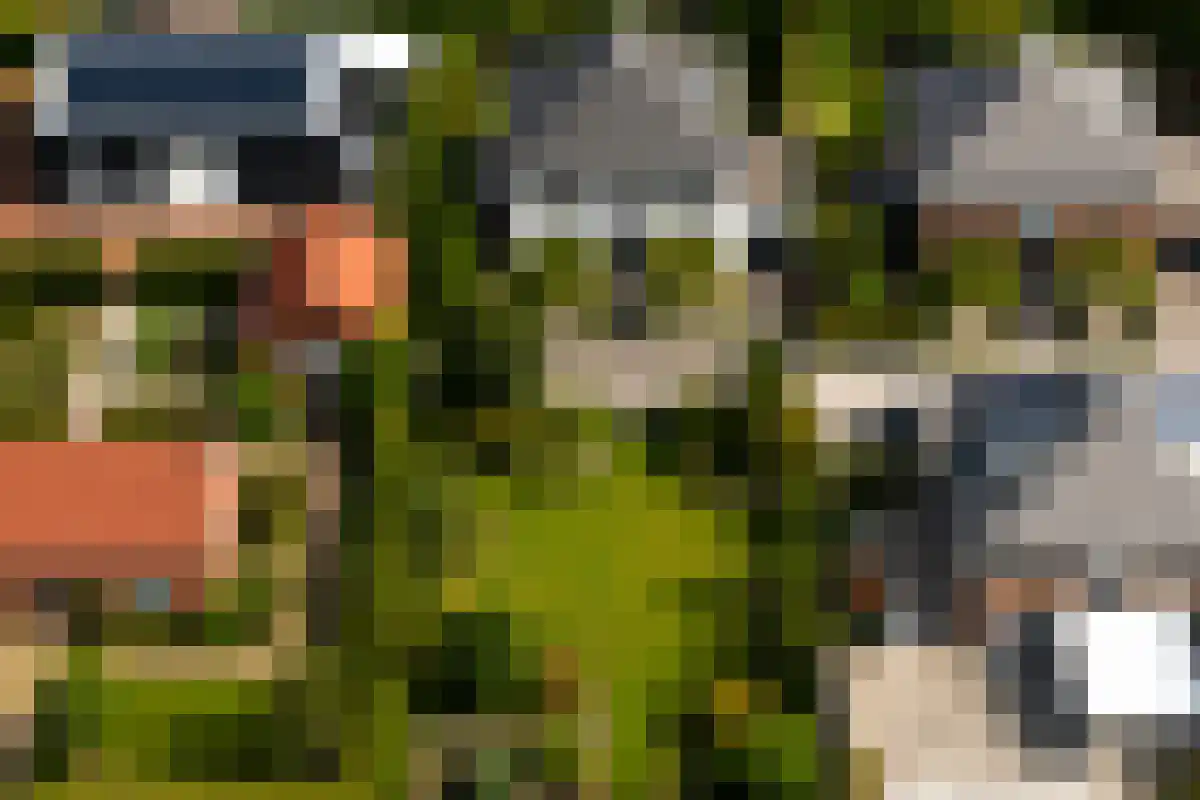 Molenhof 3 Bleiswijk thumbnail 10