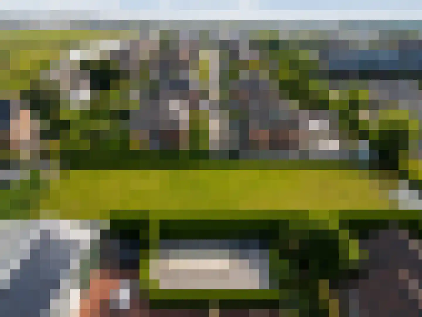 Molenhof 3 Bleiswijk thumbnail 4