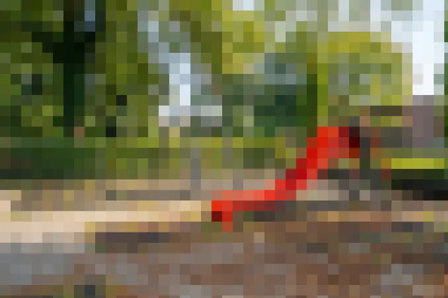 Molenhof 38 Avenhorn thumbnail 61