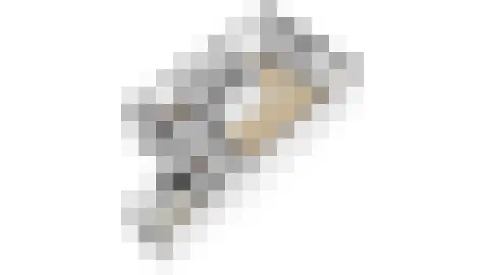 Molenhof 38 Avenhorn thumbnail 64