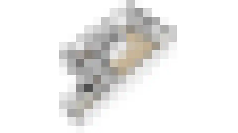 Molenhof 38 Avenhorn thumbnail 8