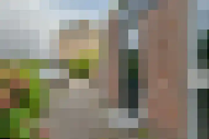 Molenhof 4 Avenhorn thumbnail 7
