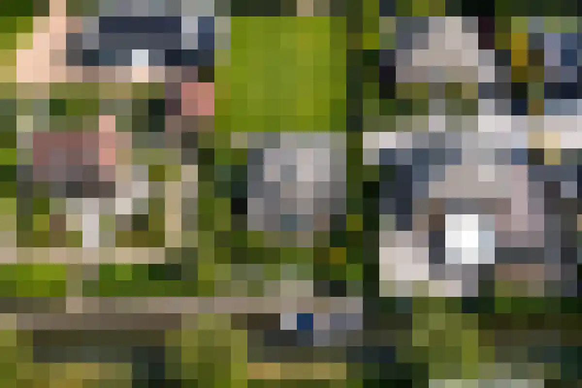 Molenhof 4 Bleiswijk thumbnail 11