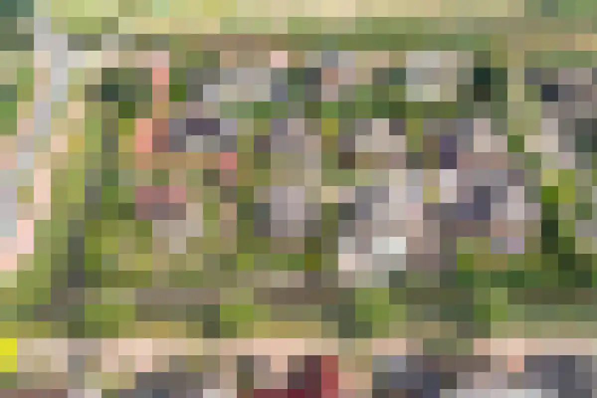 Molenhof 4 Bleiswijk thumbnail 12