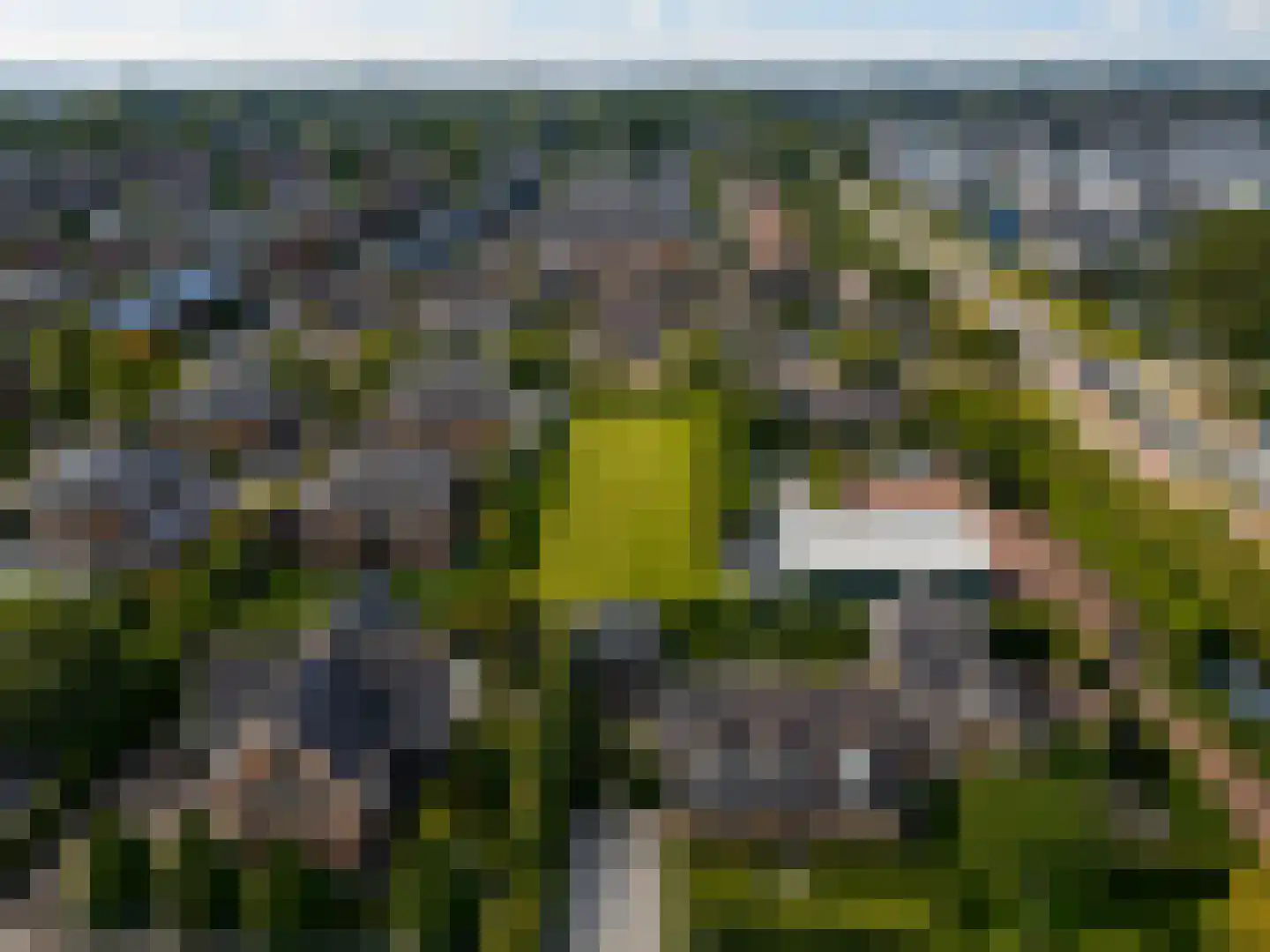 Molenhof 4 Bleiswijk thumbnail 5