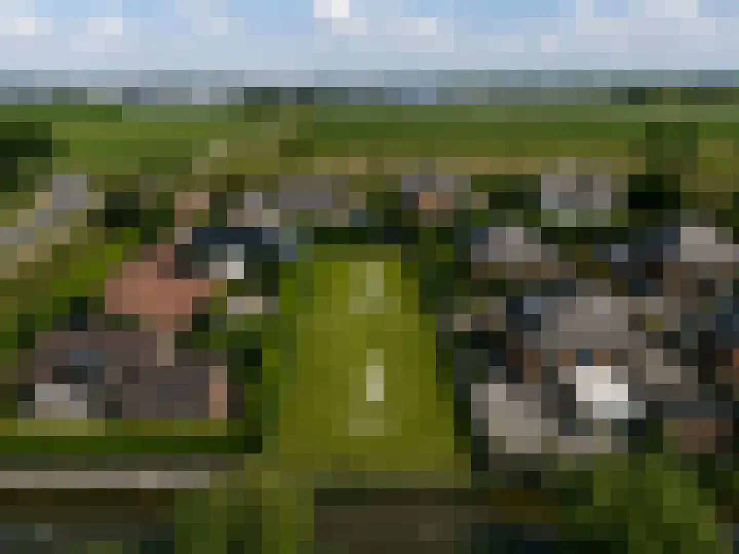 Molenhof 4 Bleiswijk thumbnail 6