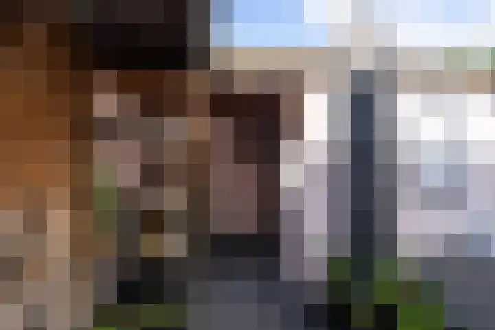 Molenhof 4 Wijk en Aalburg thumbnail 31