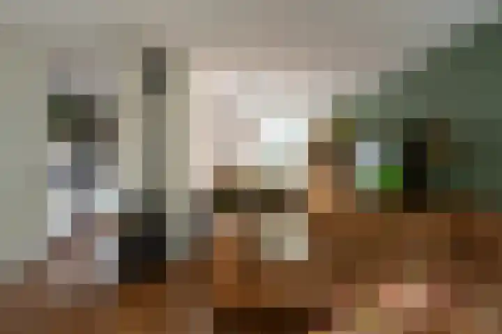 Molenhof 4 Wijk en Aalburg thumbnail 9