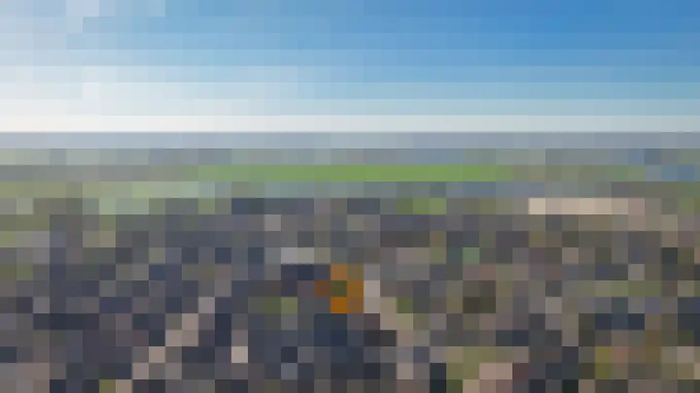 Molenhof 45 Wijk en Aalburg thumbnail 34