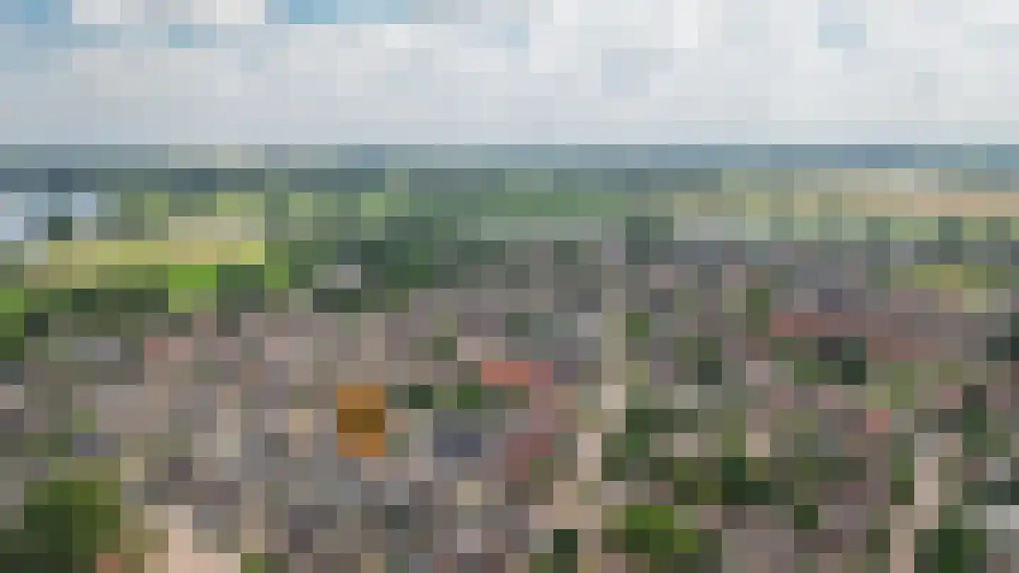 Molenhof 56 Wijk en Aalburg thumbnail 53
