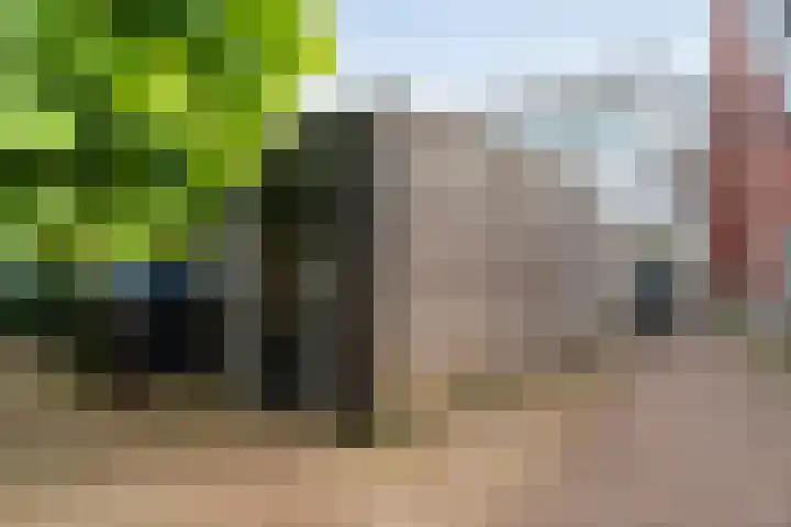 Molenhof 6 Kampen thumbnail 22