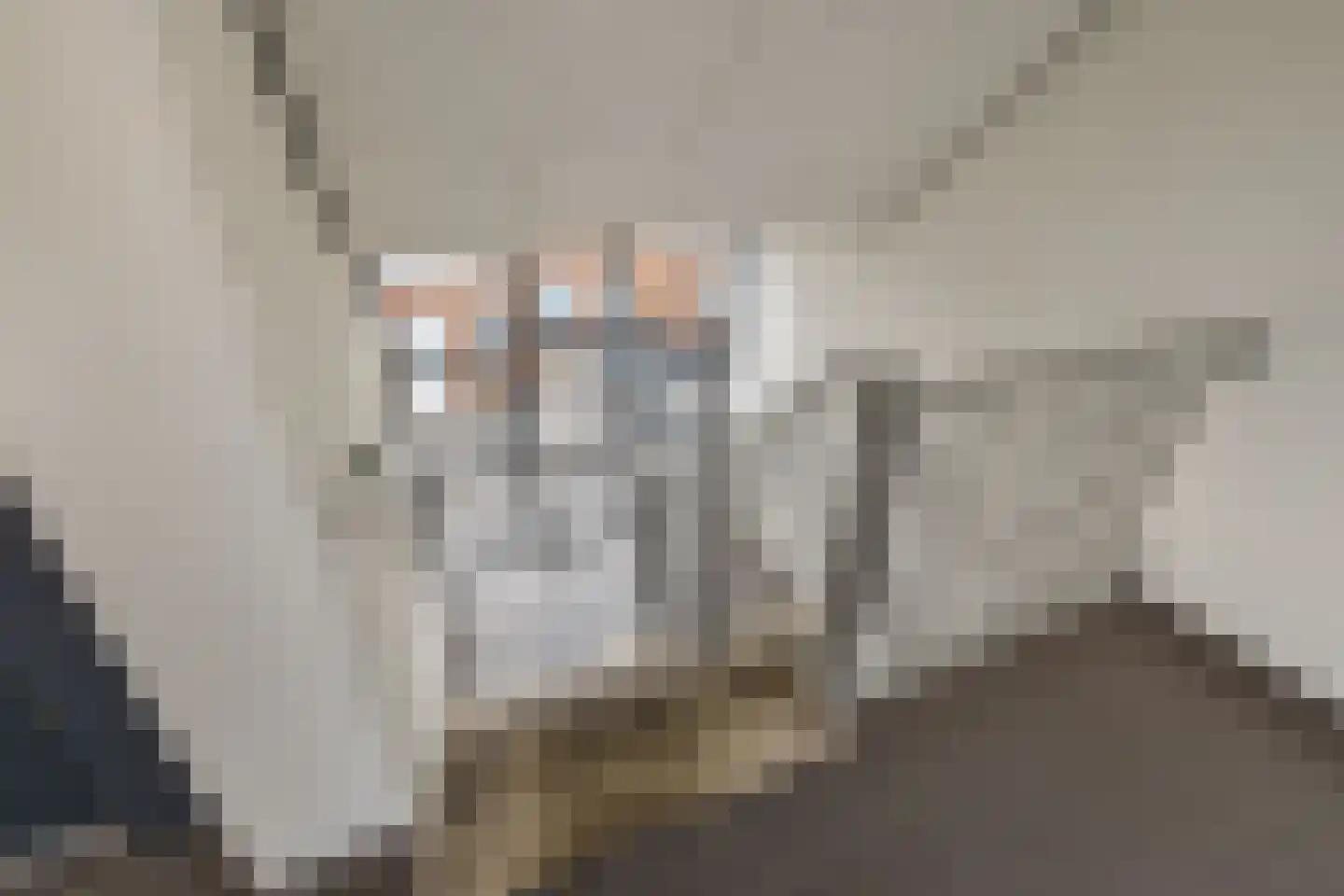 Molenhof 68 Raalte thumbnail 25