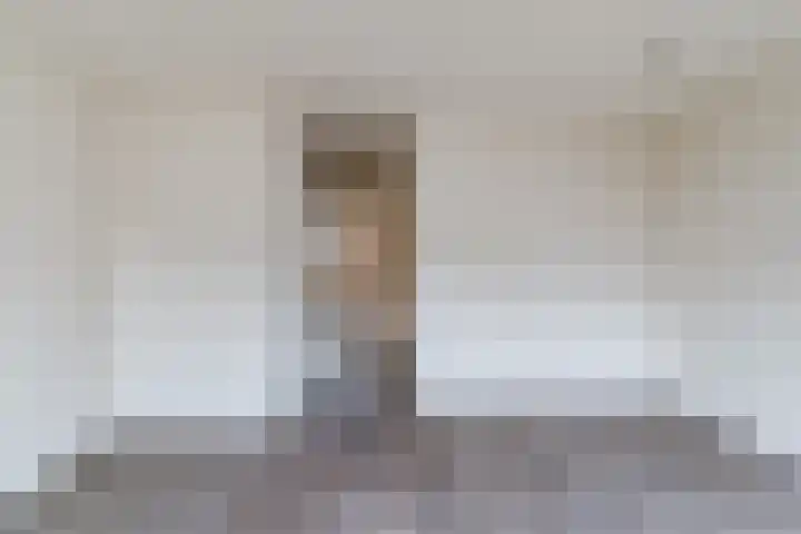 Molenhof 7 Someren thumbnail 15