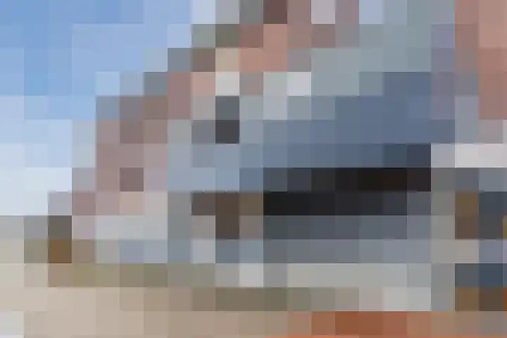 Molenhof 7 Someren thumbnail 37