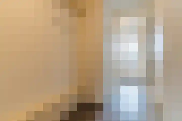 Molenhof 7 Someren thumbnail 8