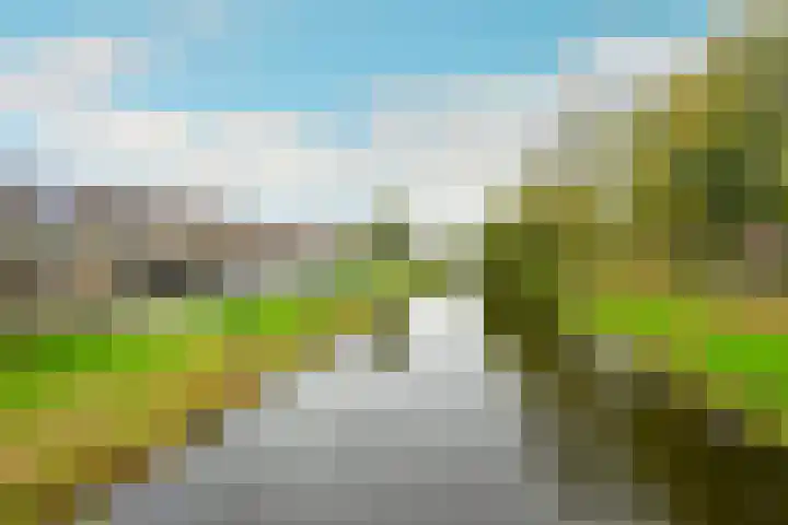 Molenhof 84 Avenhorn thumbnail 24