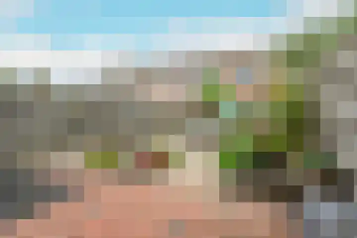 Molenhof 84 Avenhorn thumbnail 9