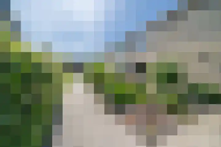 Molenhof 9 Avenhorn thumbnail 10