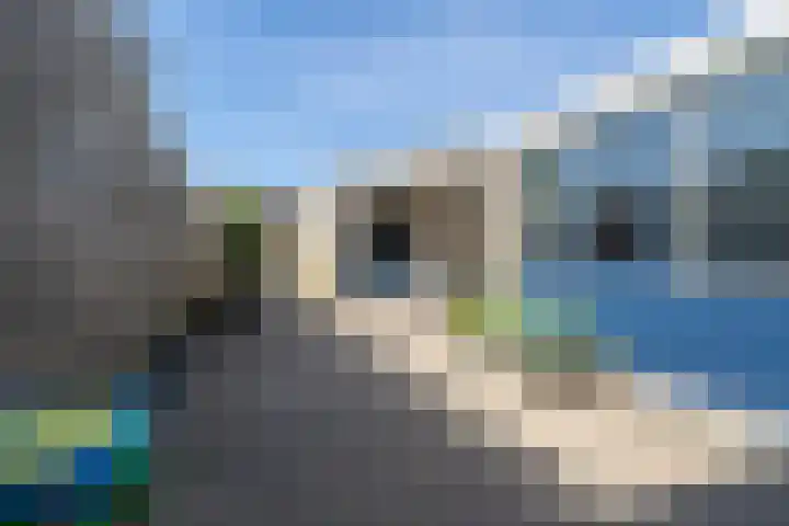 Molenhof 9 Avenhorn thumbnail 41