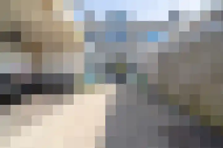 Molenhof 9 Avenhorn thumbnail 45