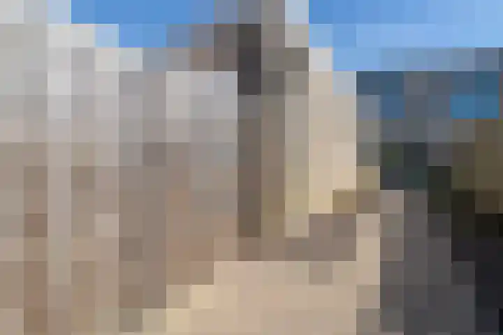 Molenhof 9 Avenhorn thumbnail 46