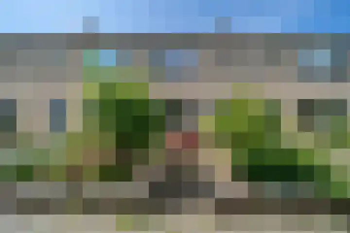 Molenhof 9 Avenhorn thumbnail 6