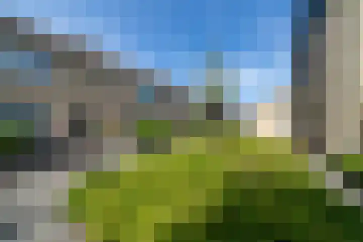 Molenhof 9 Avenhorn thumbnail 7