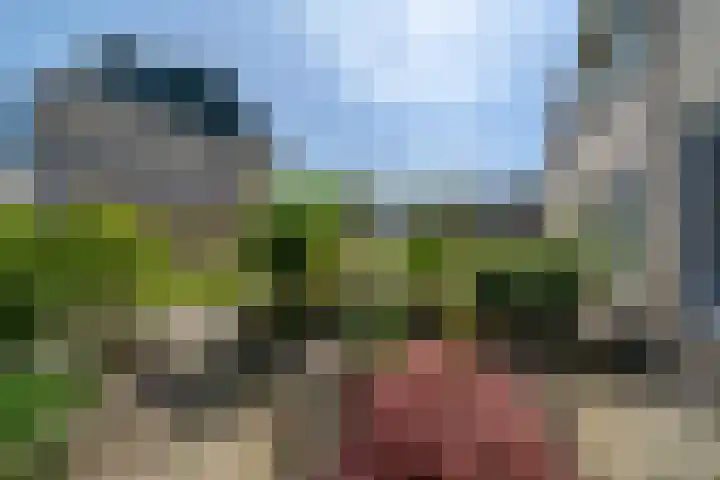 Molenhof 9 Avenhorn thumbnail 8