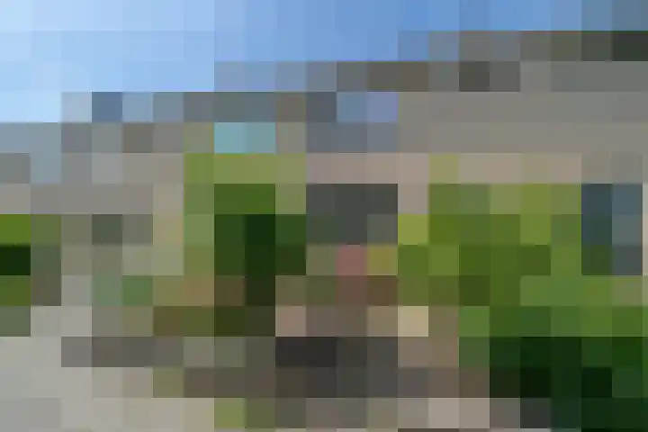 Molenhof 9 Avenhorn thumbnail 85