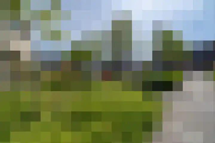 Molenhof 9 Avenhorn thumbnail 86