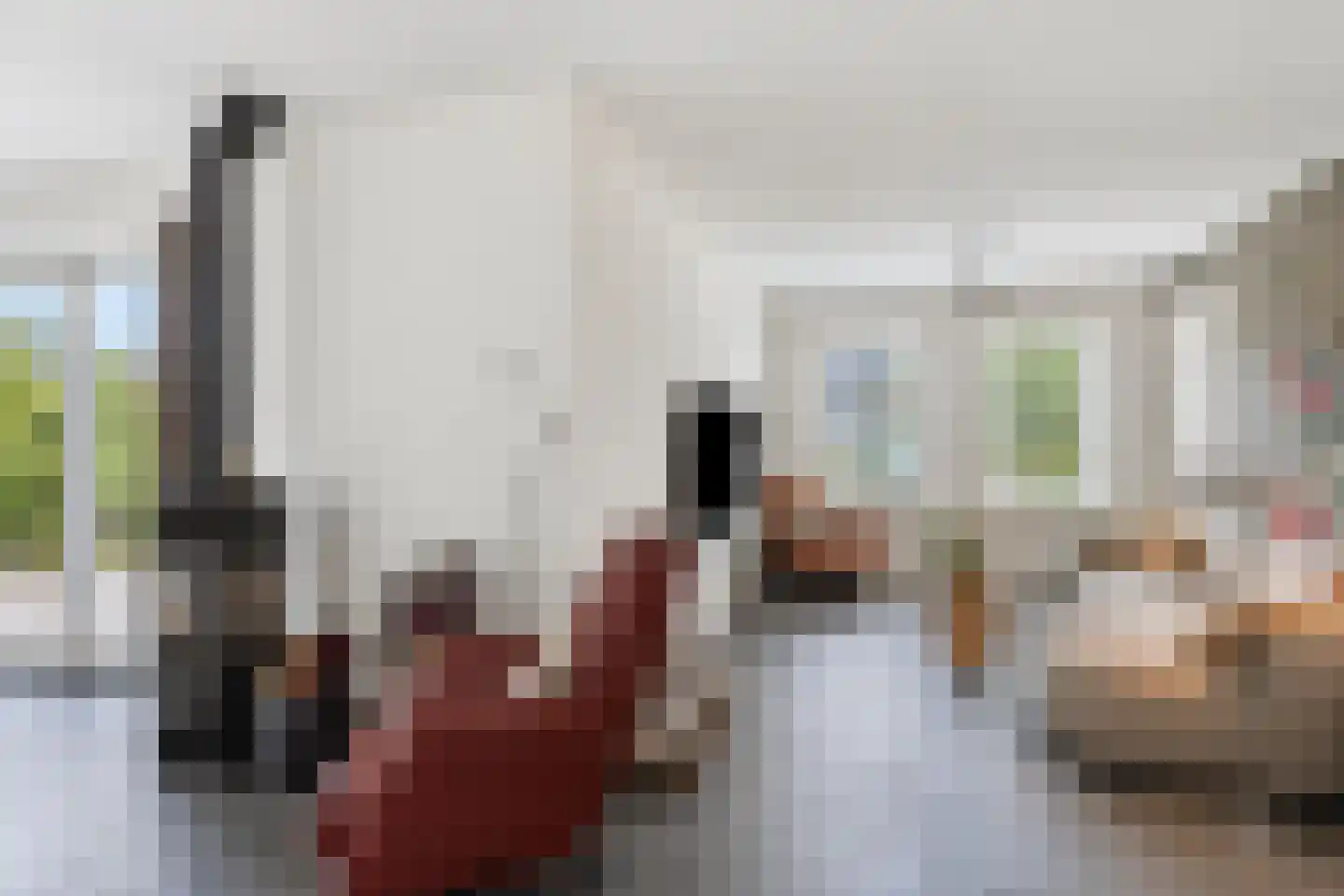 Molenhofje 1 Bergambacht thumbnail 14