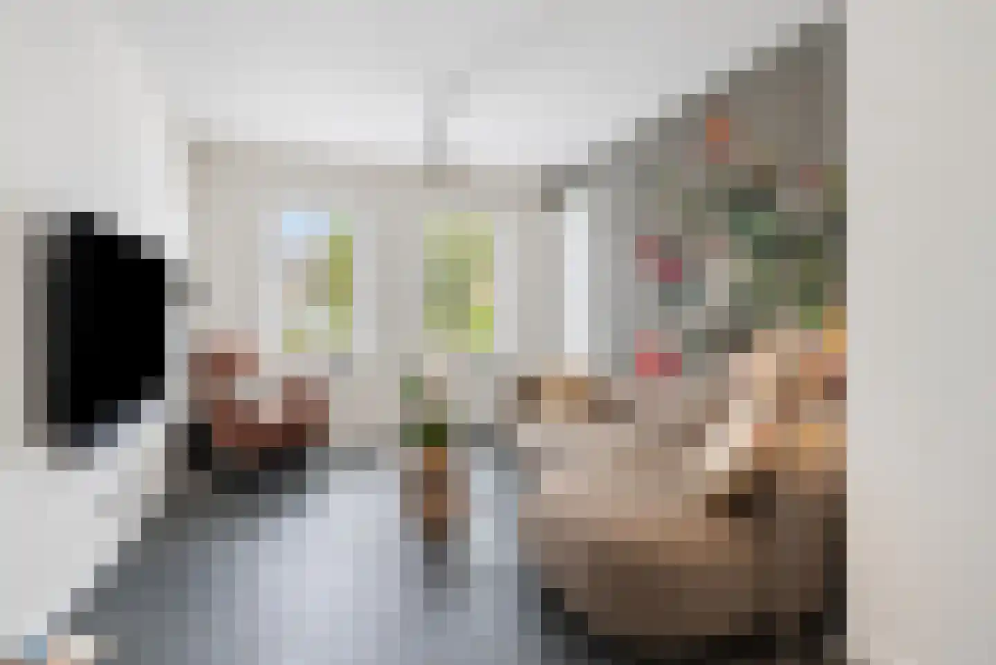 Molenhofje 1 Bergambacht thumbnail 15