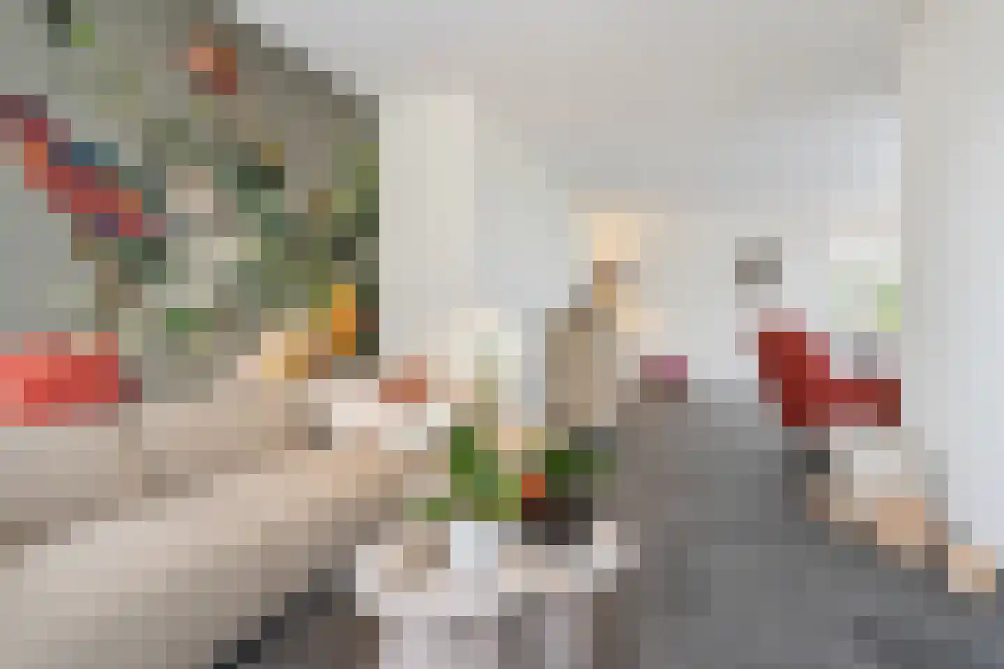 Molenhofje 1 Bergambacht thumbnail 16