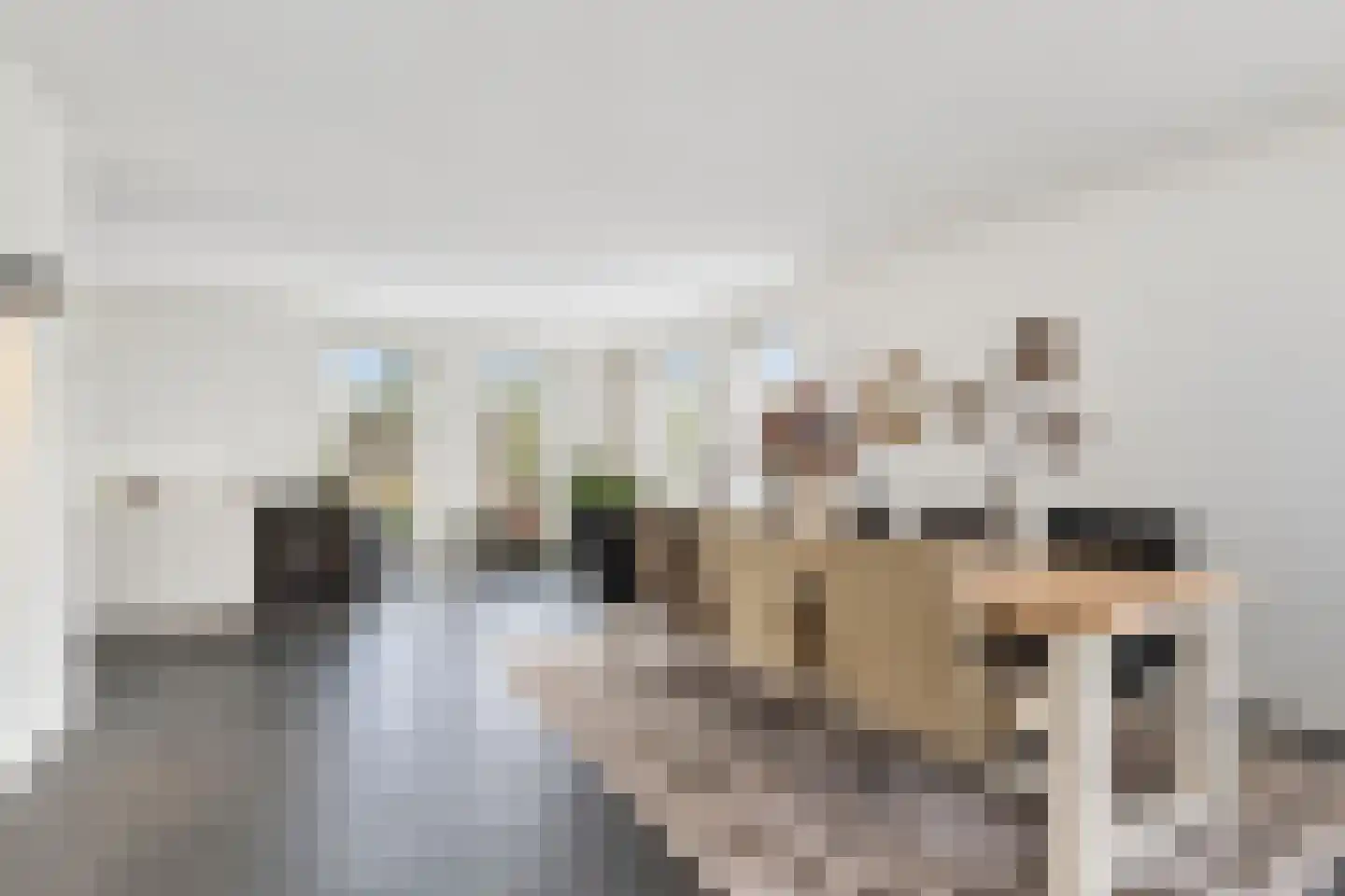 Molenhofje 1 Bergambacht thumbnail 18