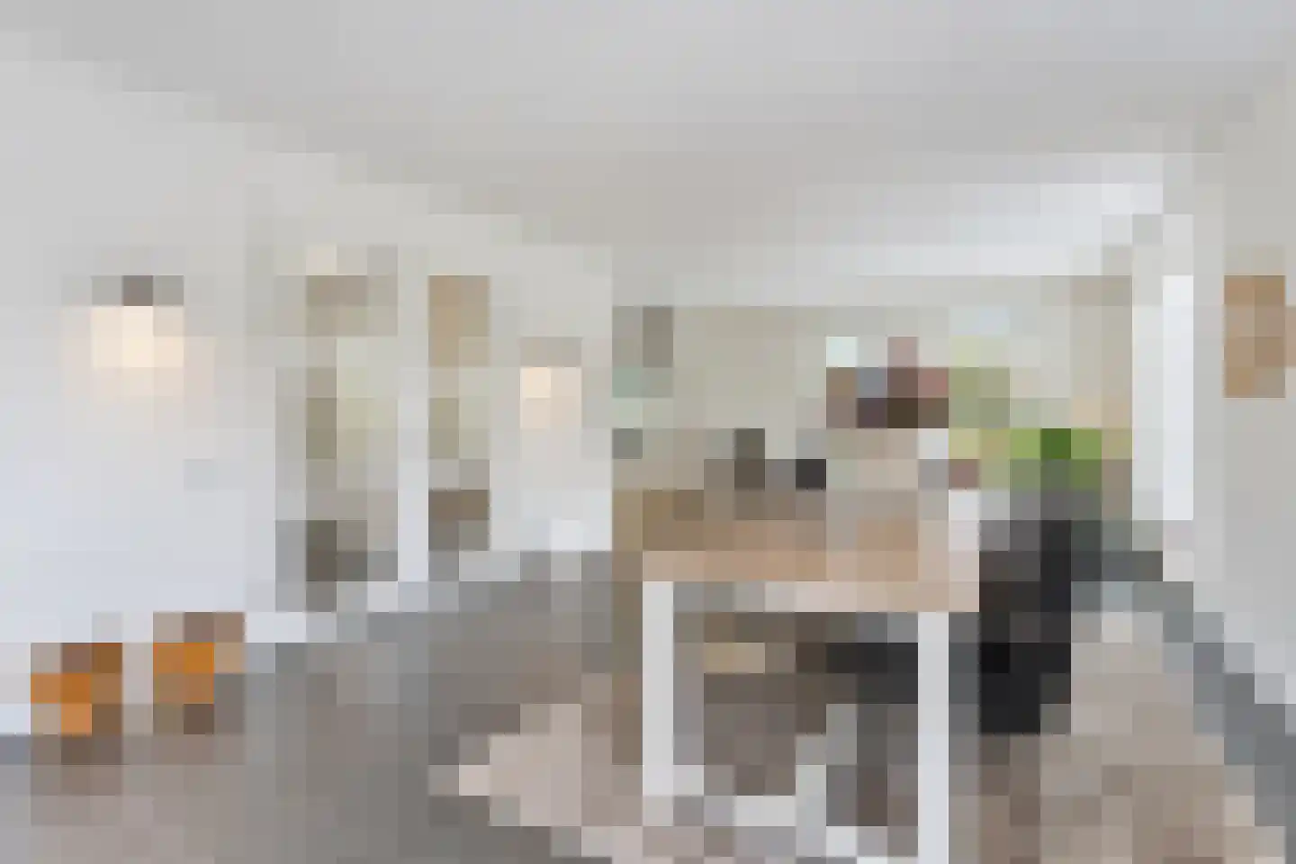 Molenhofje 1 Bergambacht thumbnail 19