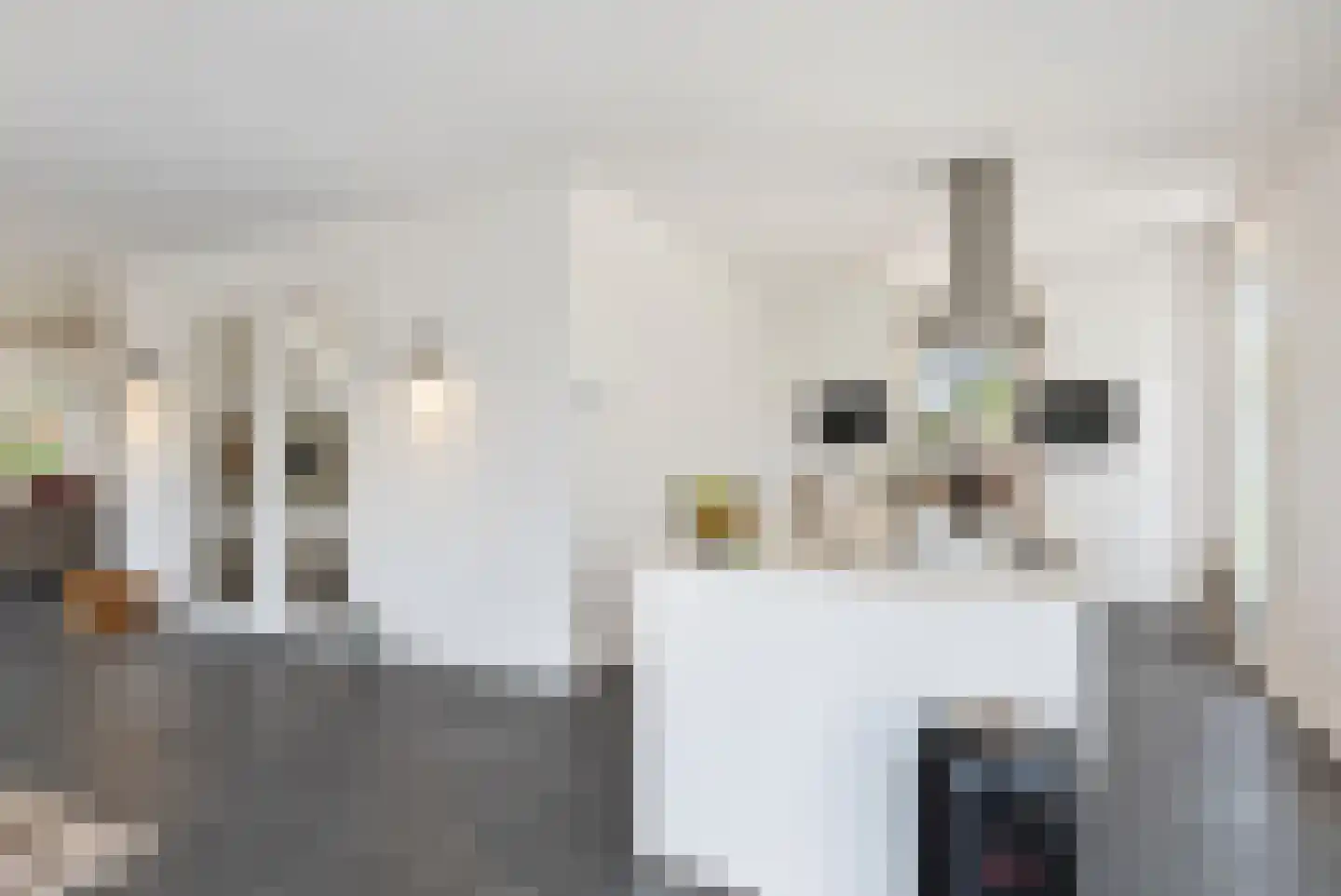 Molenhofje 1 Bergambacht thumbnail 20
