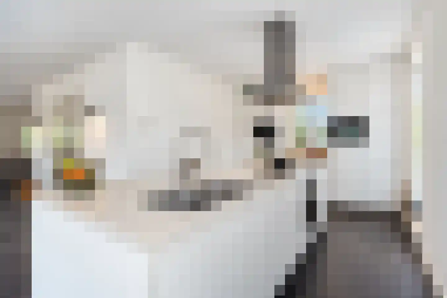 Molenhofje 1 Bergambacht thumbnail 21