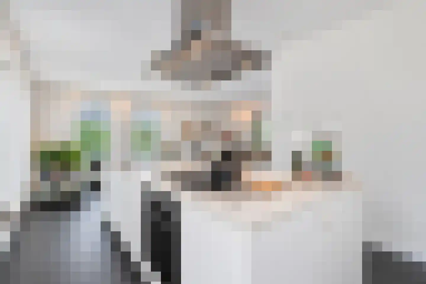 Molenhofje 1 Bergambacht thumbnail 22